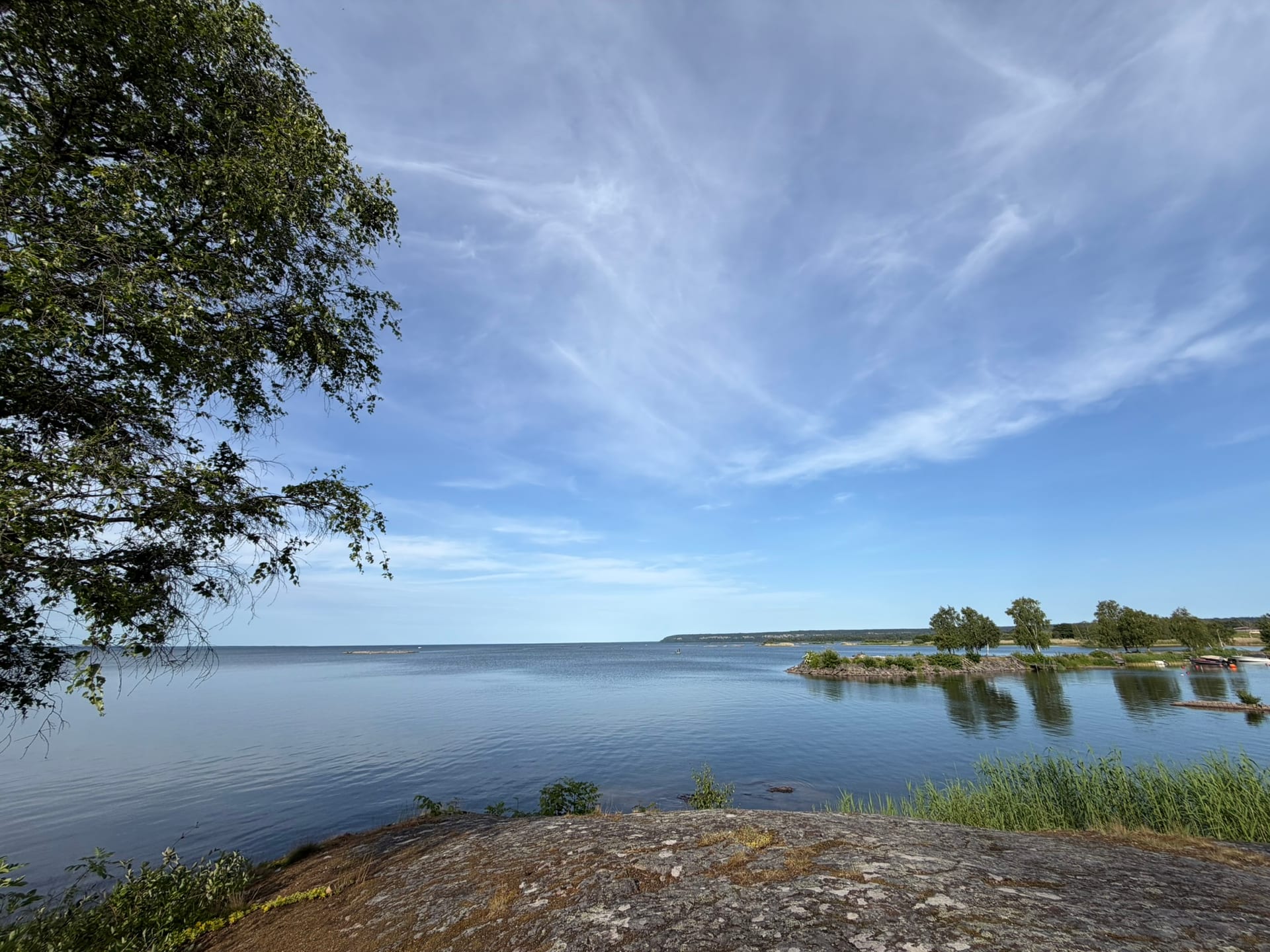 Weiter Blick über den Vänernsee von einem Felsen am Ufer, links eine Birke, rechts eine bewaldete Landzunge, am Horizont ein Tafelberg.